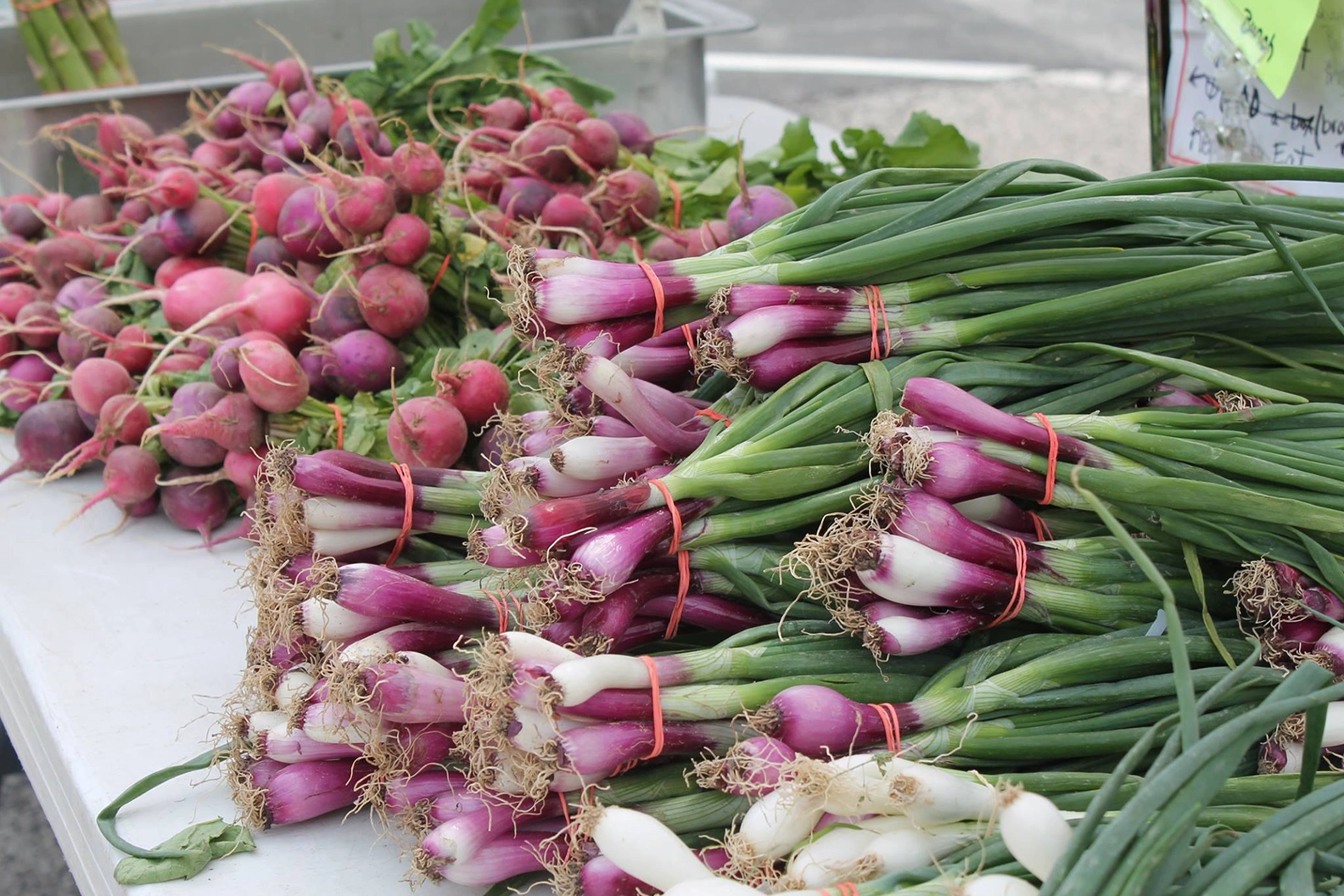 Bright purple onions and turnips lay bundled on a farmer's market table.