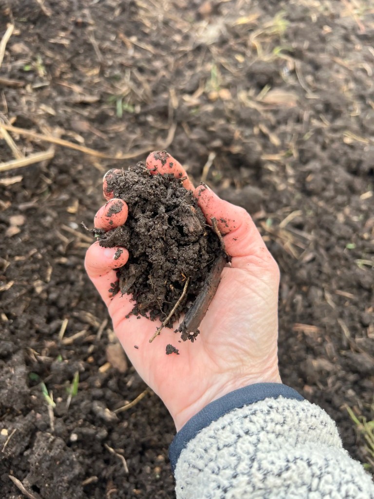 A group of images showing different in-person events celebrating soil health week in 2025 including a compost demonstration, farm tour, etc.