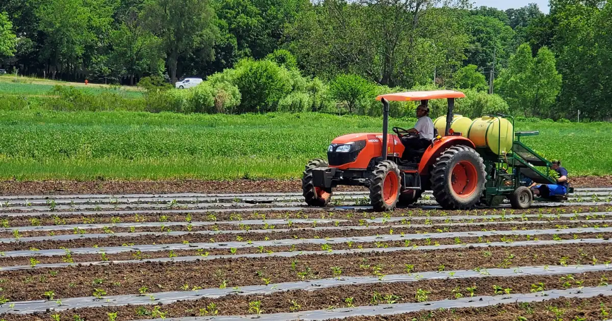 Deadline Extended for the Assistance for Specialty Crop Farmers (ASCF) Program