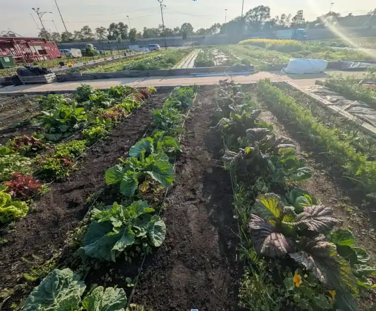 Take action! Just 4 days left to support emerging farmers and HB4922