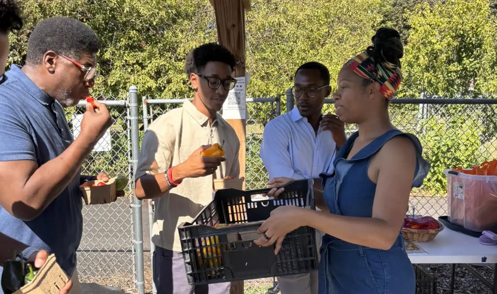 A photo of LaShawn Miller, founder of Finding Justice Flower and Vegetable Garden in Chicago offering a taste-test of vegetables to guests during a legislative farm tour in the summer of 2025.